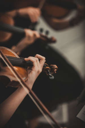 An elegant string quartet consisting of women.の写真素材