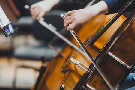 Close up of the neck of a double bass. Classical instrument. Visible strings. Warm colorsの写真素材