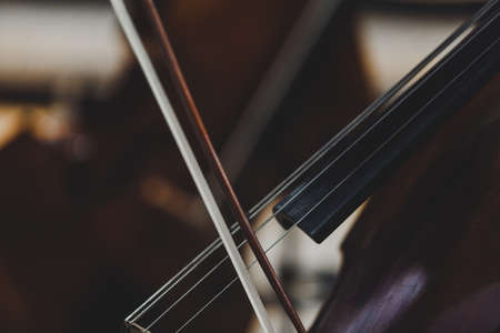 Close up of the neck of a double bass. Classical instrument. Visible strings. Warm colorsの写真素材