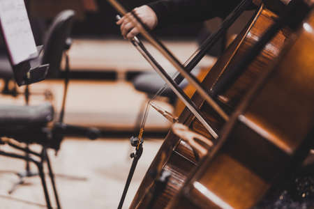 Close up of the neck of a double bass. Classical instrument. Visible strings. Warm colorsの写真素材