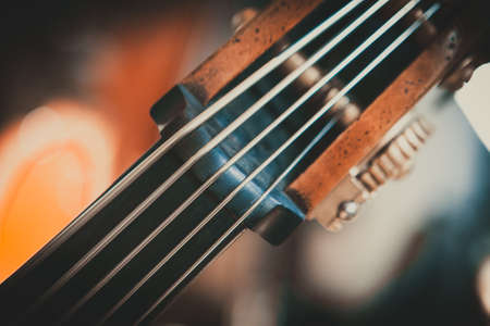 Close up of the neck of a double bass. Classical instrument. Visible strings. Warm colors