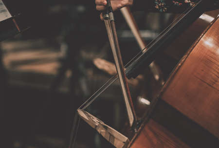 Close up of the neck of a double bass. Classical instrument. Visible strings. Warm colorsの写真素材