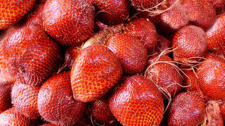 Salak fruit, snake fruit, sallaca closeup view