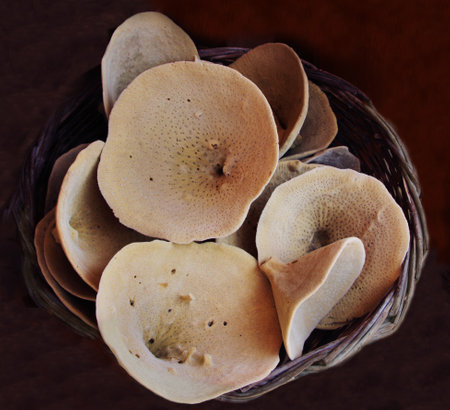 Sea sponges of different shapes and sizes sold at a small shop in Symi town, Symi island, Greeceの写真素材