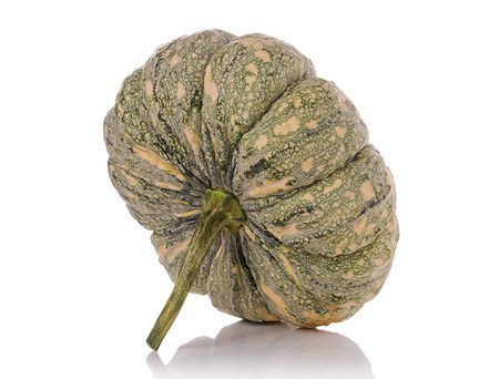 pumpkin on white backgroundの写真素材