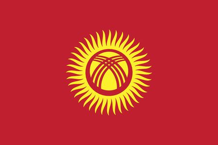Flag of Kyrgyzstanのイラスト素材