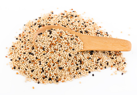 seed mixture background. Pet food for birdsの写真素材