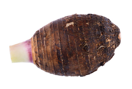 taro roots on white backgroundの写真素材