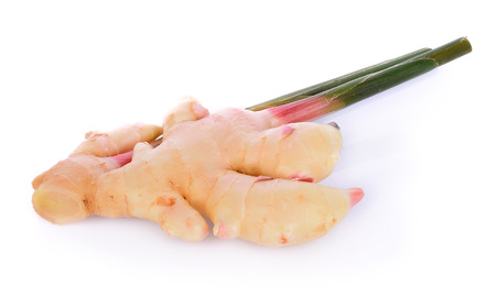 fresh galangal on a white background