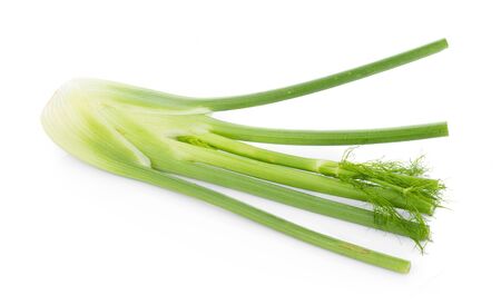 closeup fresh fennel bulb isolated on white backgroundの写真素材
