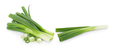 Green Japanese Bunching Onion on white backgroundの写真素材