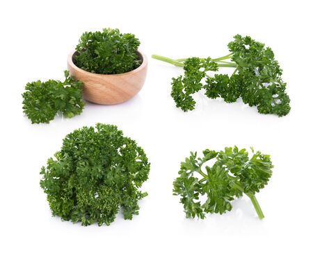 parsley isolated on a white backgroundの写真素材