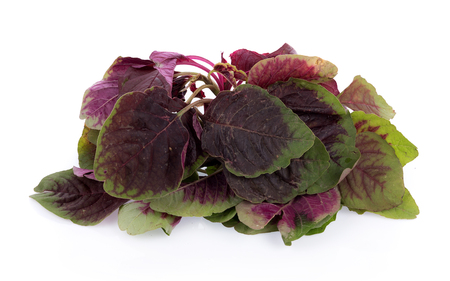 red spinach isolated on white backgroundの写真素材