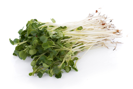 kaiware sprout, japanese vegetable or watercress on white backgroundの写真素材