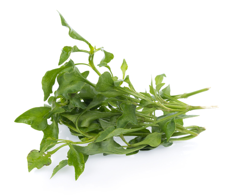 Fresh Watercress isolated on white backgroundの写真素材