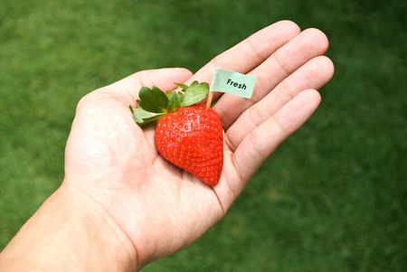 Strawberry in hand with fresh signの写真素材