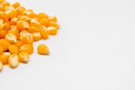Corn Kernelsの写真素材