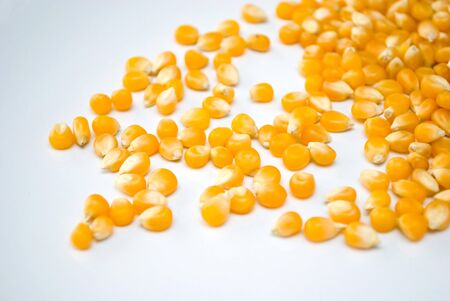 Corn Kernels