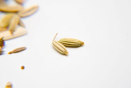 Macro shot of cumin seedの写真素材