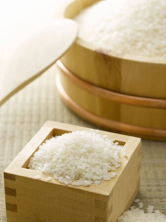 Rice is the most important foodの写真素材