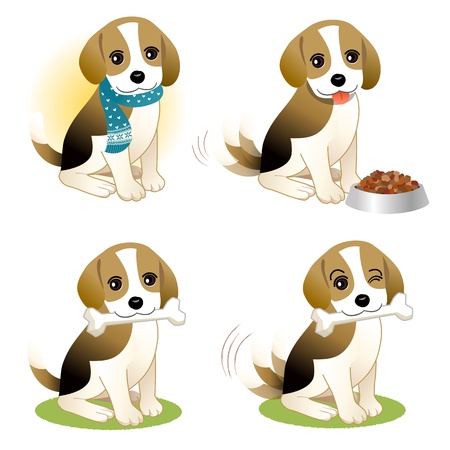 Set of Beagle puppy - with bone, wearing knitted scarf, and with dog food in bowl のイラスト素材
