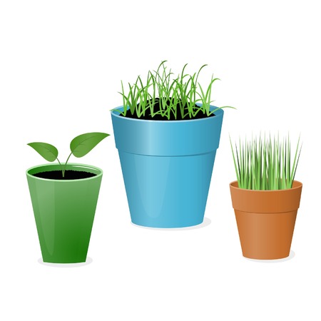 flower pots with greeneryのイラスト素材