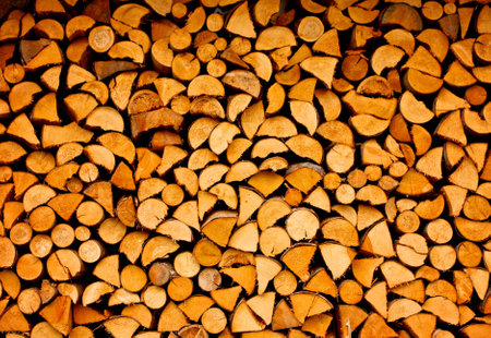 Fire woodの写真素材
