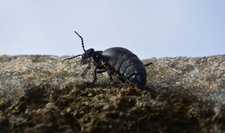 in the edge of worldの写真素材