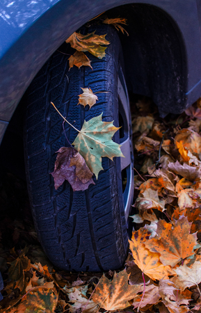 Car and tires in autumn color leaves.の写真素材