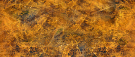 A one dollar bill in American US currency is on fire