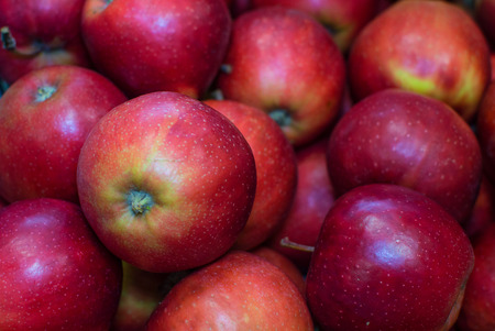 Pile of organic red apples from the farm.