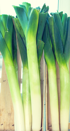 Leek in a shop window selling vegetables.の写真素材