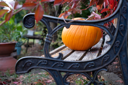 Pumpkin as a symbol of autumn and hellowen.の写真素材