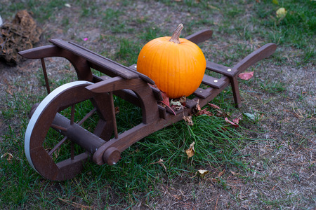 Pumpkin as a symbol of autumn and hellowen.の写真素材
