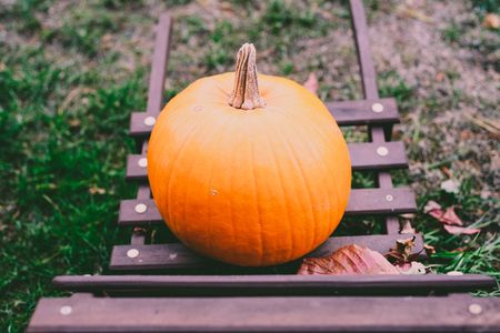 Pumpkin as a symbol of autumn and hellowen.の写真素材