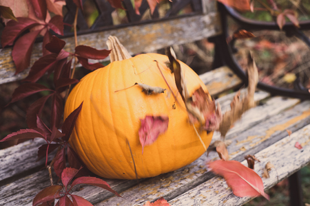 Pumpkin as a symbol of autumn and hellowen.の写真素材