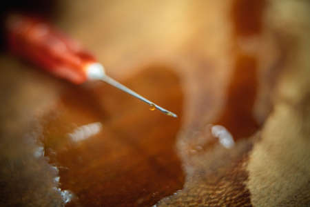 Injection needle for covid vaccination.の写真素材