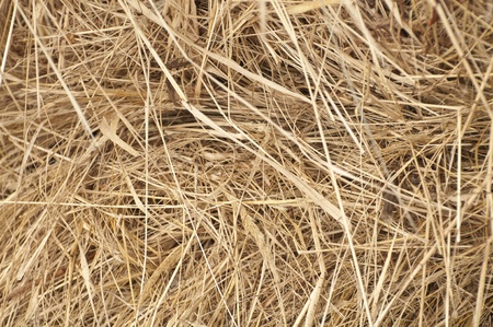 Background in the form of haystacks
の写真素材