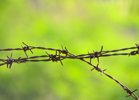 Barbed wire fence