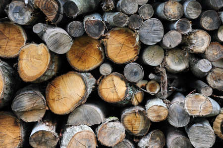 Background of firewood