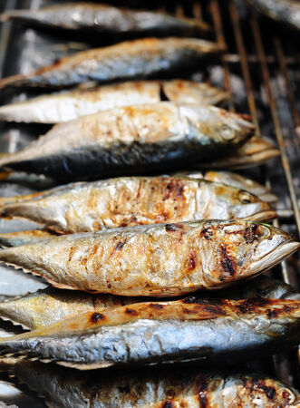 Mackerel friedの写真素材