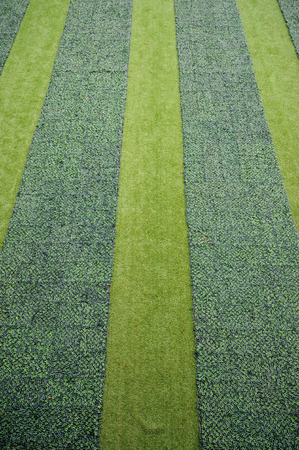 Artificial plantの写真素材