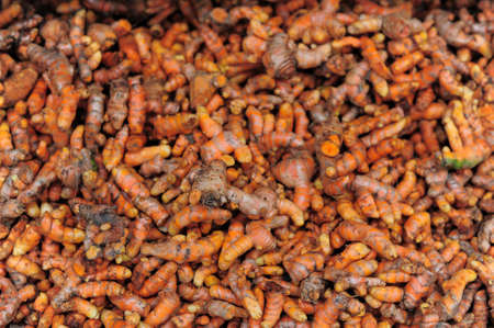 A lot of ginger root for sale (thai herb)の写真素材