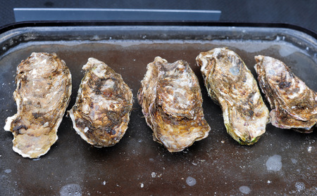 Traditional oyster shells on the grill in some areas from Matsushima Japanのeditorial素材