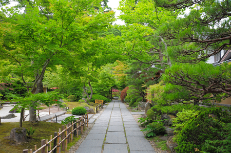 stone path in zen gardenのeditorial素材