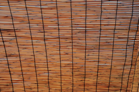 Bamboo curtainの写真素材