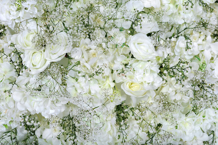 White roses wallの写真素材