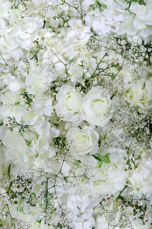 White roses wallの写真素材