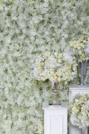 White roses in a vase and white roses wallの写真素材