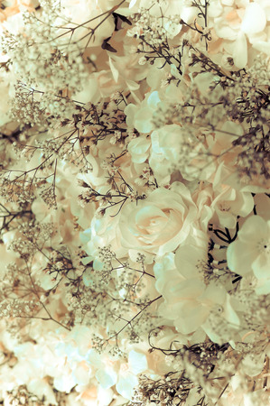 White roses wall - vintage tone, can be used as backgroundの写真素材